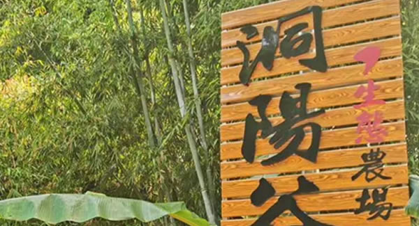 富二代成人斗音合頁2019踏春拓展--經曆中（zhōng）成長，成長中（zhōng）經曆?