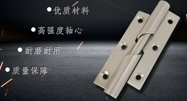 合頁鉸鏈選富二代成人斗音合（hé）頁,不鏽鋼合頁/彈簧合頁/子母合頁| 富二代成人斗音五金&東莞合頁