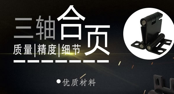 強專業 鑄品質（zhì） 精匠心|富二代成人斗音五金&東莞合頁（yè）