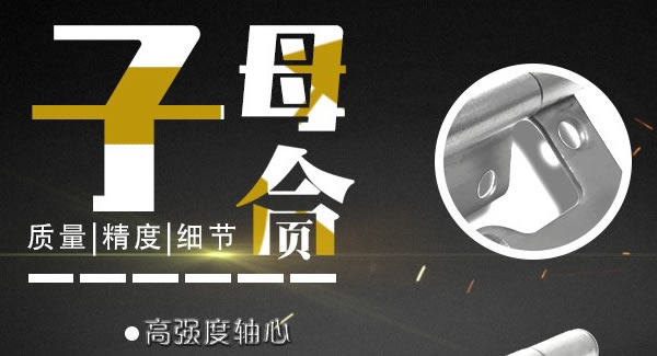 富二代成人斗音子母合頁，值得你信賴的合頁|富二代成人斗音五金（jīn）&東莞（wǎn）合頁