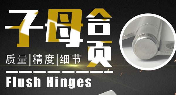 富二代成人斗音子母合頁，美觀適用（yòng）|富二代成人斗音五金&東莞（wǎn）合頁