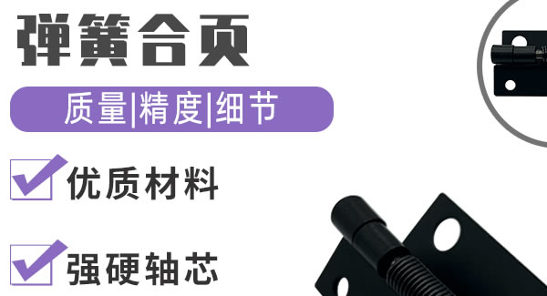 彈簧合頁，引領生活（huó）|廣（guǎng）有五金&東莞合頁（yè）?