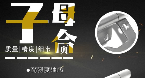 富二代成人斗音子母合頁，值得你信賴的合頁|富二代成人斗音五金&東莞合頁