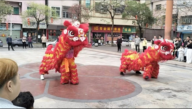 9广东惠州的年，是醒狮起舞，是祥瑞临门.jpg